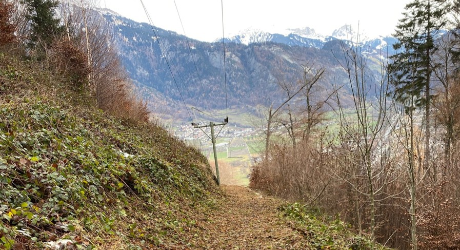 Die Tellerlift-Trasse mit Aussicht ins Rheintal